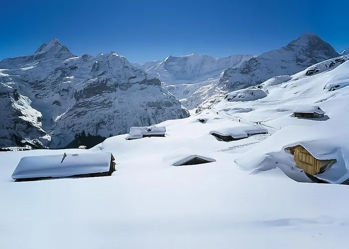 Sans Souci By Interhome Lägenhet Grindelwald