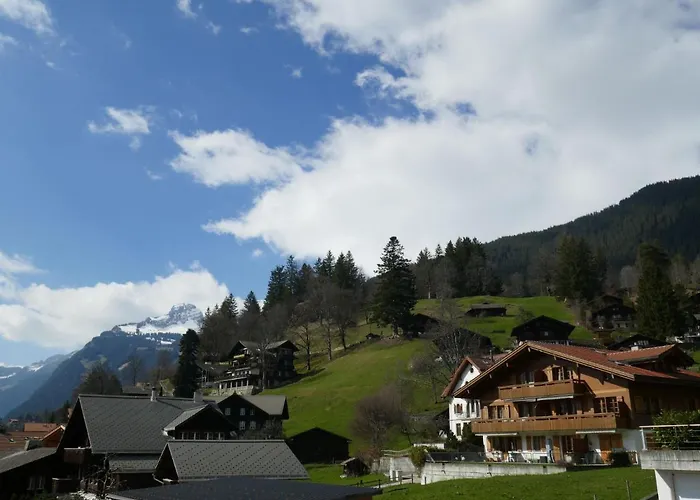 Sans Souci By Interhome Lägenhet Grindelwald
